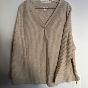 Terra & Sky Women's V-Neck Sweater in Light Beige